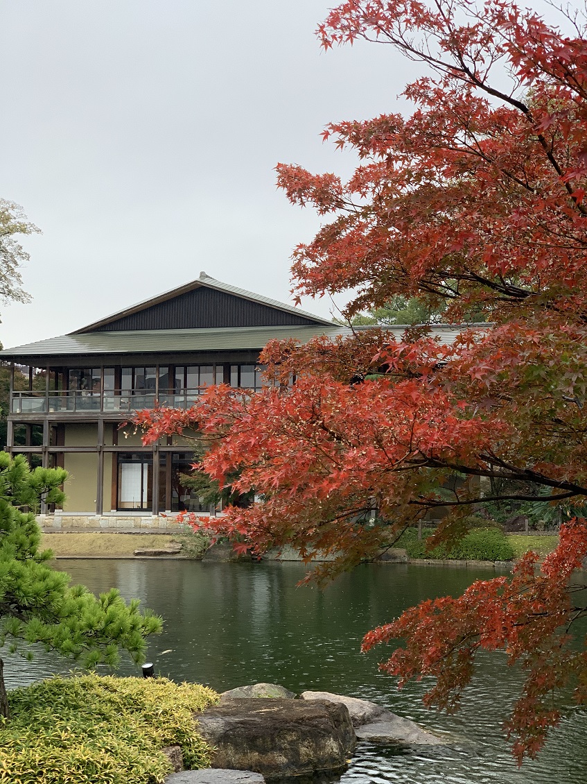 紅葉シーズン 写真