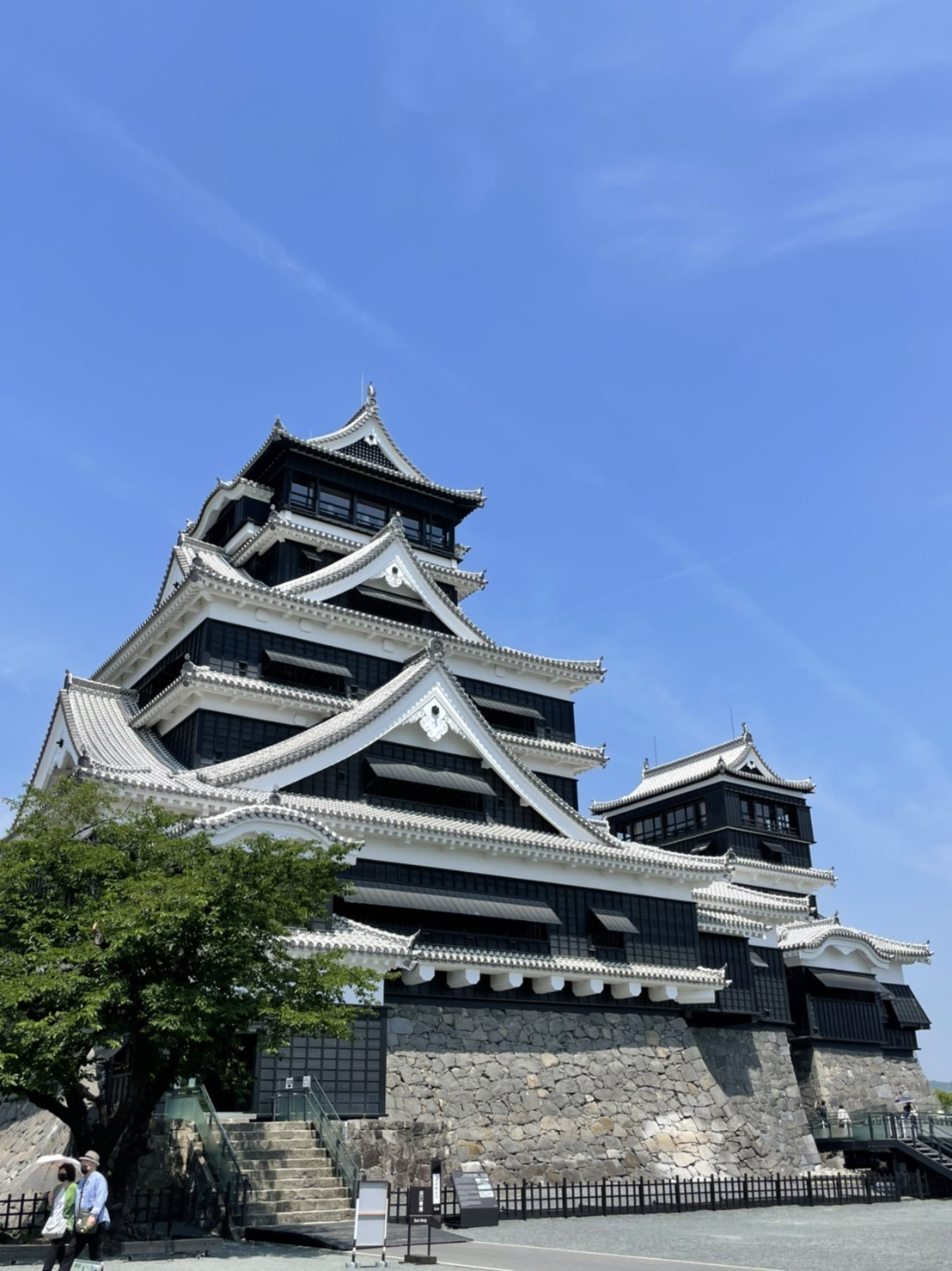 6月の熊本城