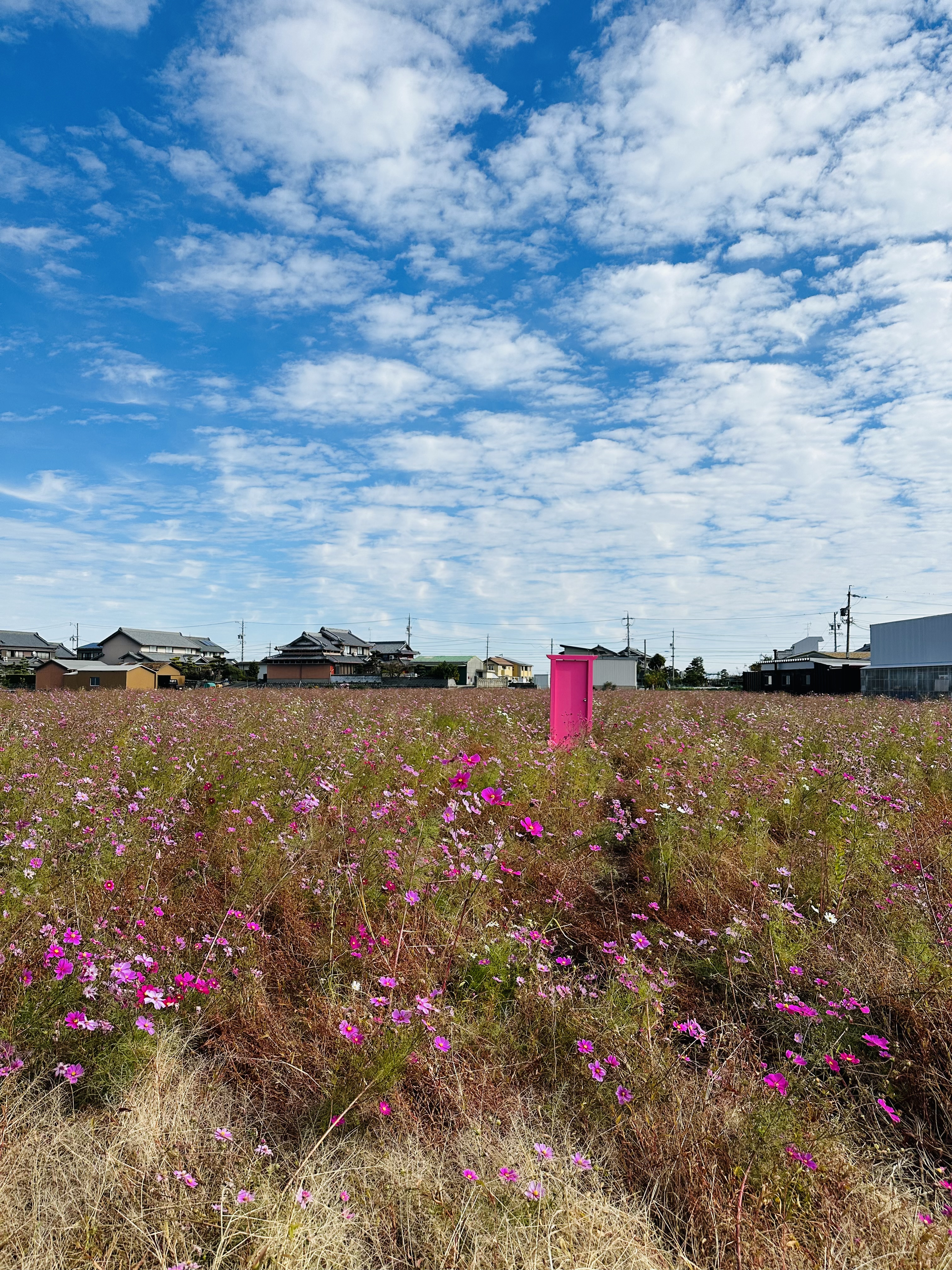 １２月 写真